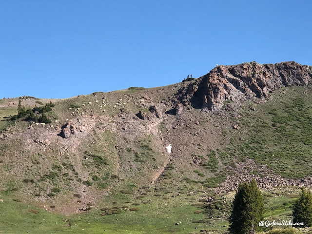 Hiking to Mt.Belknap Tushar Mountains, Utah