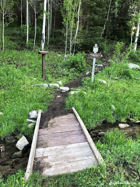 Hiking to Haystack Mountain, LaSal Mountains