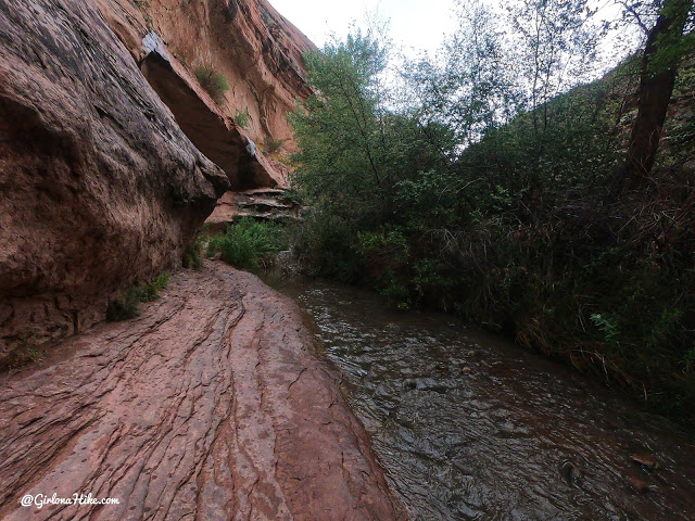 Hiking Grandstaff Canyon to Morning Glory Arch, Dog friendly hikes in moab, hiking in moab with dogs