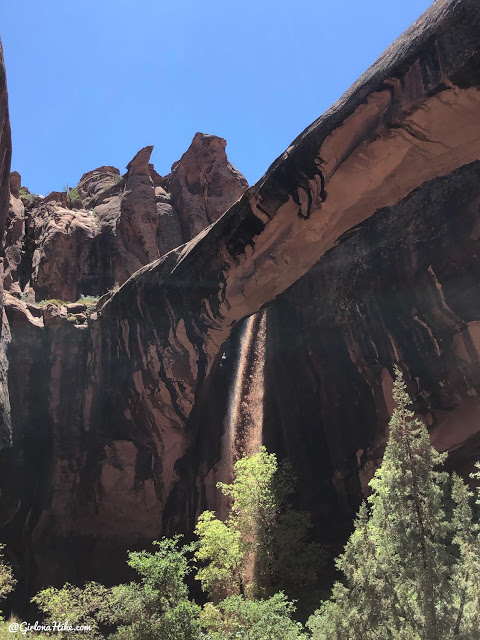 Hiking Grandstaff Canyon to Morning Glory Arch, Dog friendly hikes in moab, hiking in moab with dogs