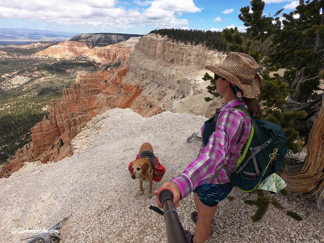 Hiking to Powell Point, Pink Point Utah, highest point in grand staircase escalante national monument, hiking in grand staircase escalante national mo