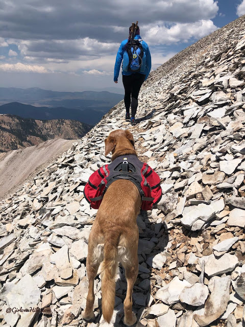 Hiking to Mt.Belknap Tushar Mountains, Utah