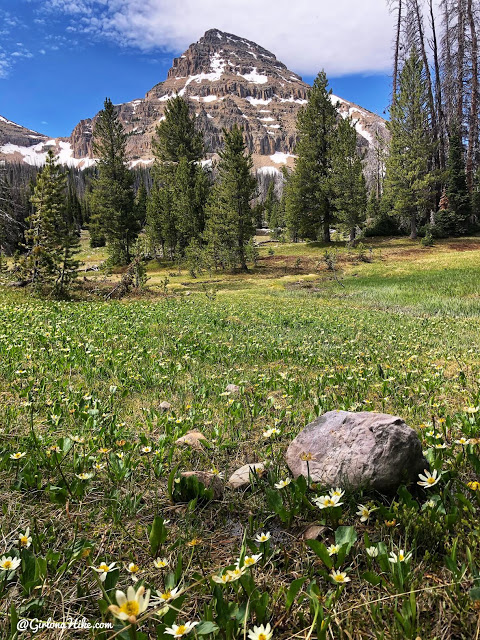 Hiking the Lofty Lake Loop & Cuberant Lake, Uintas