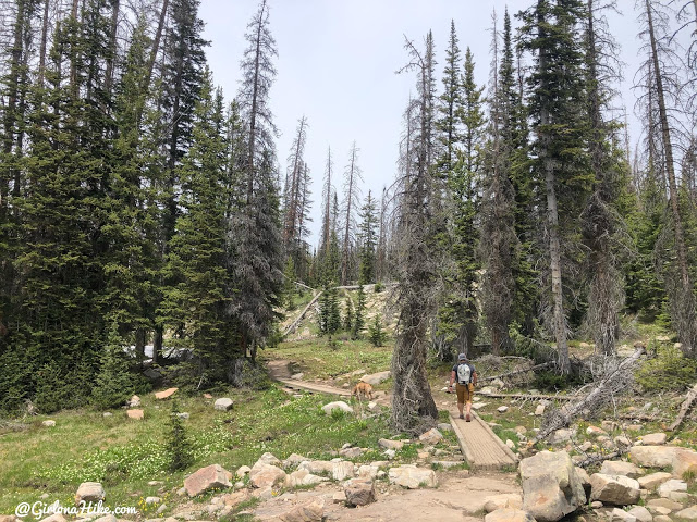 Hiking to Long Lake & Island Lake, Uintas