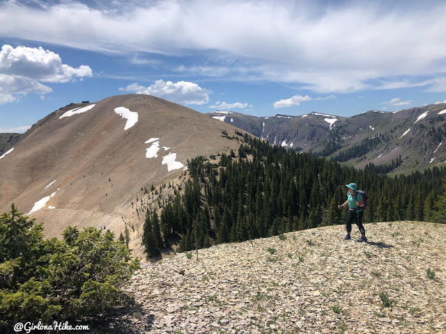 Hiking to Mt.Belknap Tushar Mountains, Utah