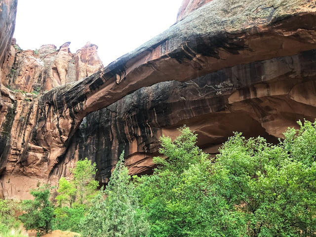 Hiking Grandstaff Canyon to Morning Glory Arch, Dog friendly hikes in moab, hiking in moab with dogs