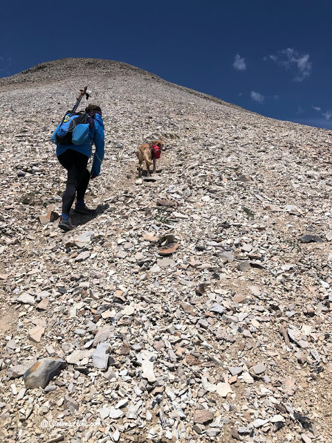 Hiking to Mt.Belknap Tushar Mountains, Utah