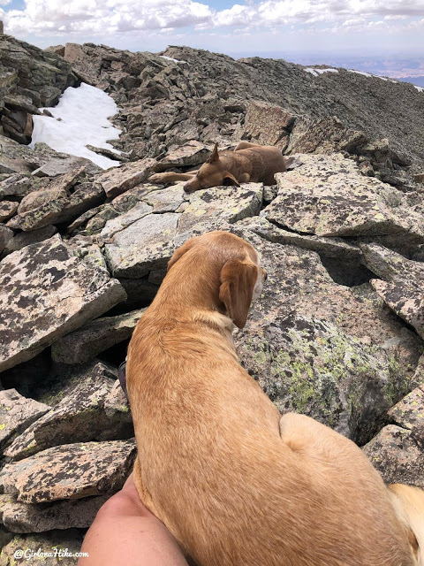 Hiking to Haystack Mountain, LaSal Mountains