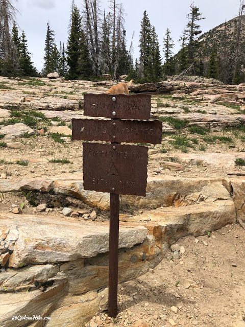 Hiking to Long Lake & Island Lake, Uintas