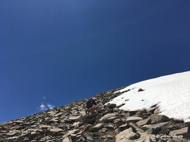 Hiking to Haystack Mountain, LaSal Mountains