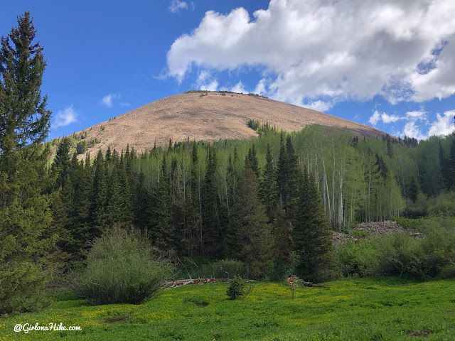 Hiking to Haystack Mountain, LaSal Mountains