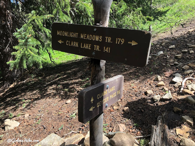 Hiking to Haystack Mountain, LaSal Mountains