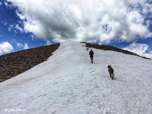 Hiking to Haystack Mountain, LaSal Mountains