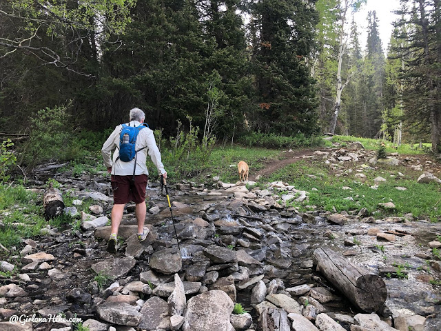 Hiking to Haystack Mountain, LaSal Mountains