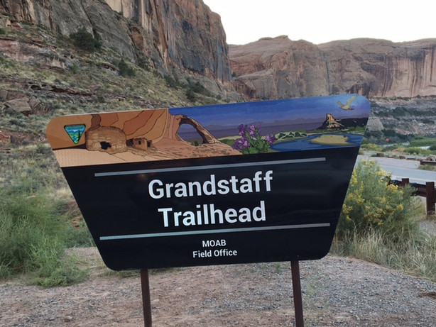 Hiking Grandstaff Canyon to Morning Glory Arch, Dog friendly hikes in moab, hiking in moab with dogs