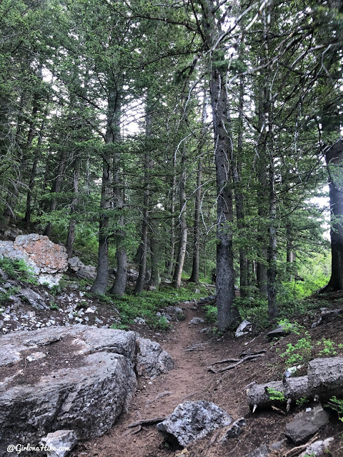 Hiking Desolation Lake & Peak