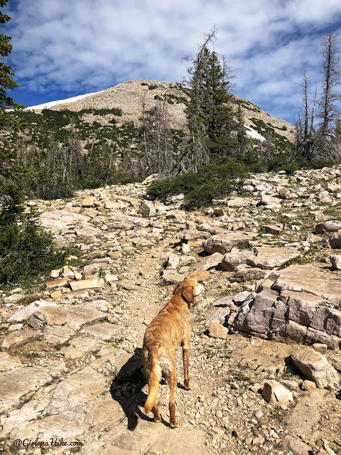 Hiking the Lofty Lake Loop & Cuberant Lake, Uintas