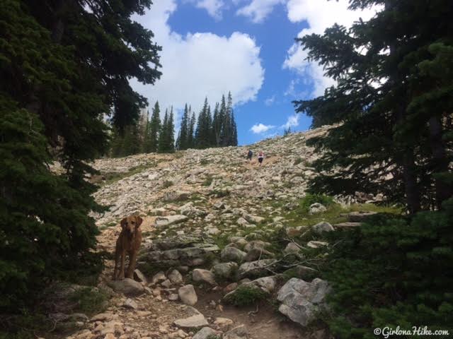 Hiking the Lofty Lake Loop & Cuberant Lake, Uintas