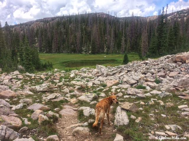 Hiking the Lofty Lake Loop & Cuberant Lake, Uintas