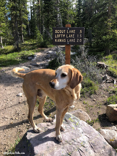 Hiking the Lofty Lake Loop & Cuberant Lake, Uintas