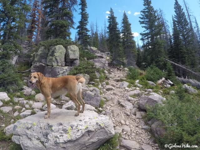 Hiking the Lofty Lake Loop & Cuberant Lake, Uintas