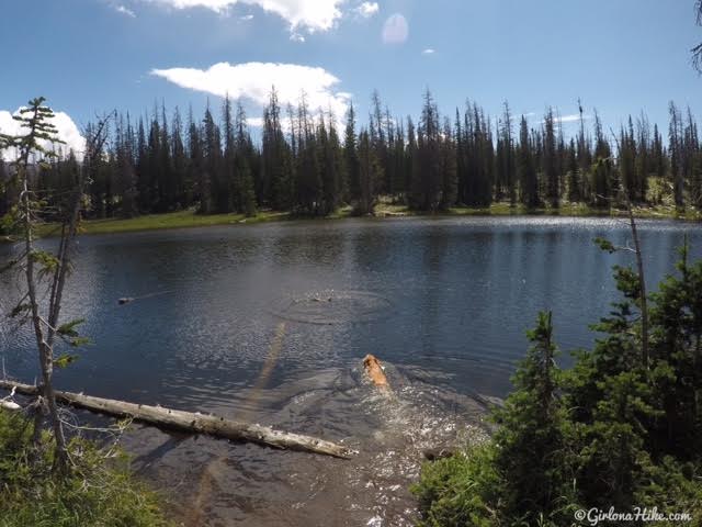 Hiking the Lofty Lake Loop & Cuberant Lake, Uintas