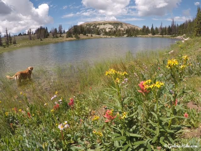 Hiking the Lofty Lake Loop & Cuberant Lake, Uintas