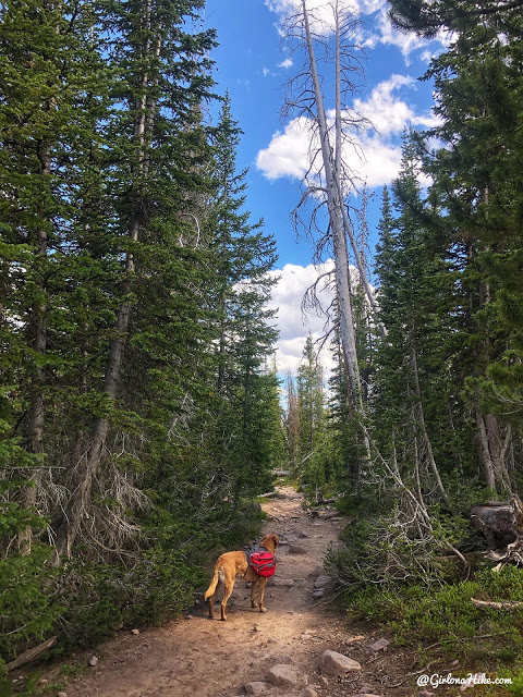 Backpacking to Naturalist Basin, Uintas