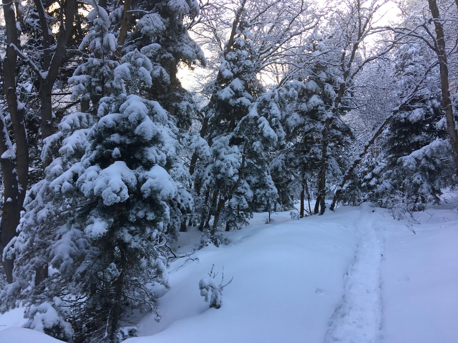 Hiking to the Deuel Creek Waterfall