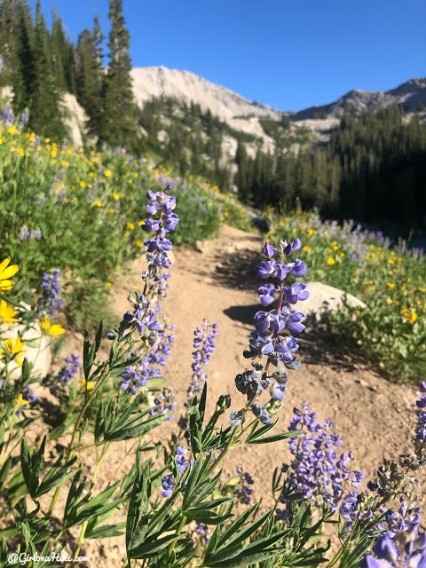 Hiking to Gloria Falls & Red Pine Lake