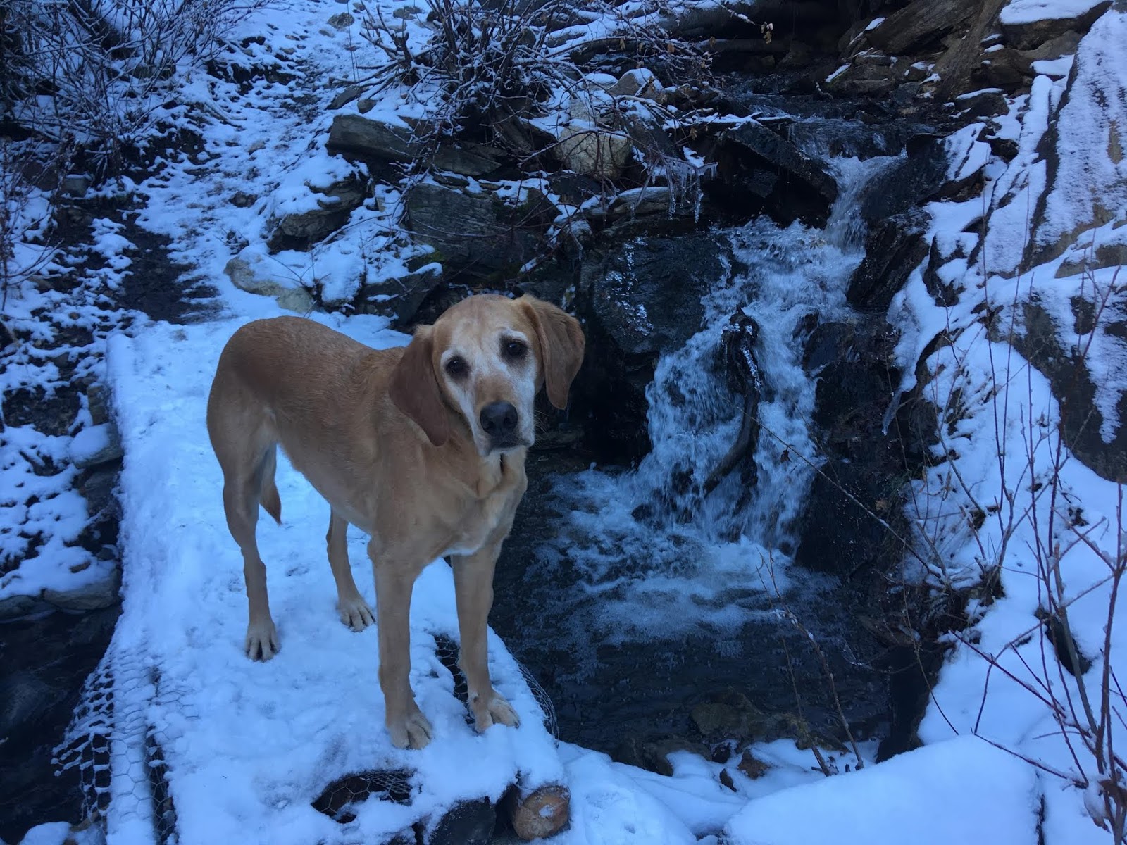 Hiking to the Deuel Creek Waterfall