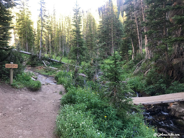 Hiking to Gloria Falls & Red Pine Lake