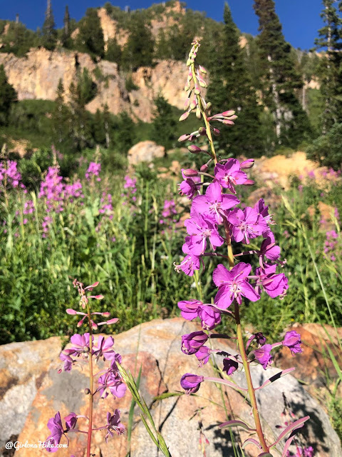 Hiking to Gloria Falls & Red Pine Lake