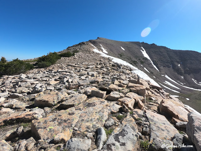 Backpacking to Naturalist Basin, Uintas, hiking to spread eagle peak