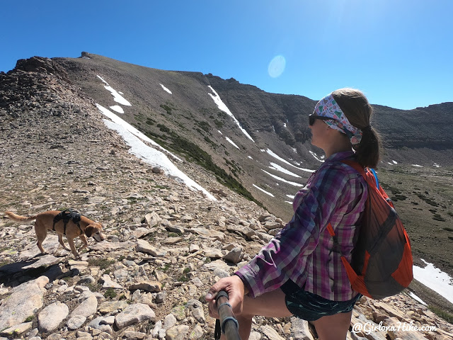 Backpacking to Naturalist Basin, Uintas, hiking to spread eagle peak