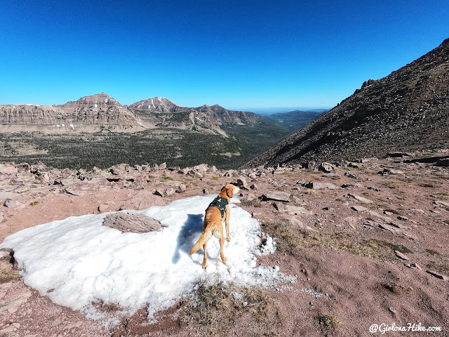 Backpacking to Naturalist Basin, Uintas, hiking to spread eagle peak