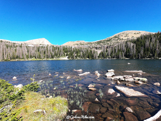 Backpacking to Naturalist Basin, Uintas