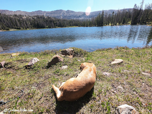 Backpacking to Naturalist Basin, Uintas