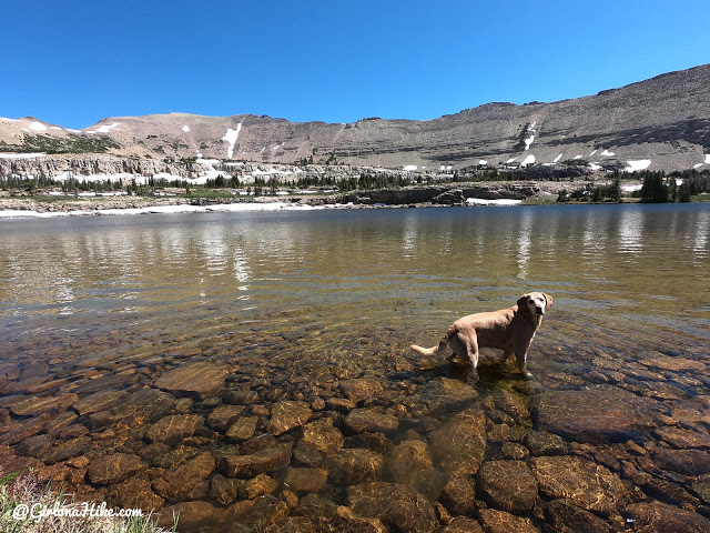 Backpacking to Naturalist Basin, Uintas