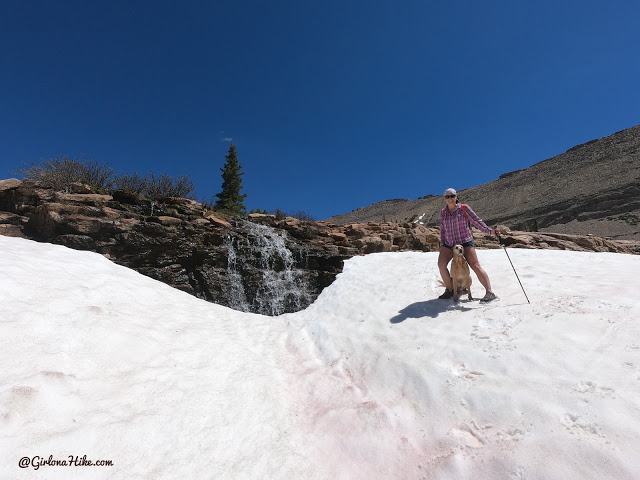 Backpacking to Naturalist Basin, Uintas