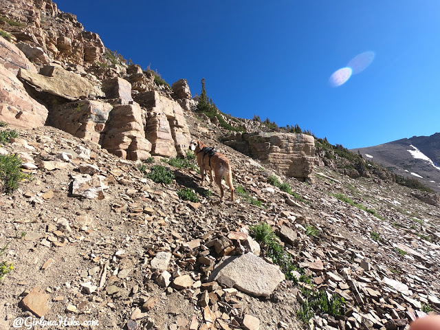 Backpacking to Naturalist Basin, Uintas