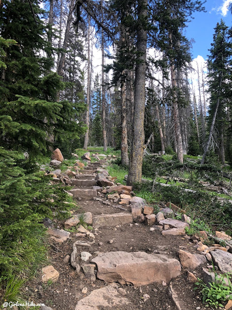 Backpacking to Naturalist Basin, Uintas