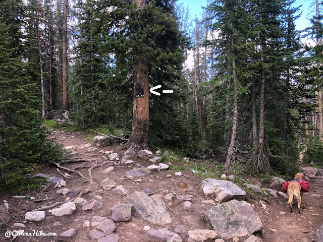 Backpacking to Naturalist Basin, Uintas