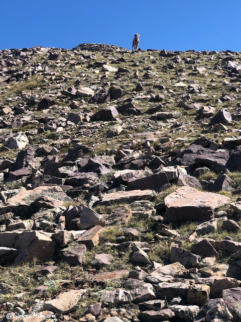 Backpacking to Naturalist Basin, Uintas, hiking to spread eagle peak