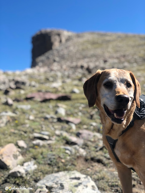 Backpacking to Naturalist Basin, Uintas, hiking to spread eagle peak