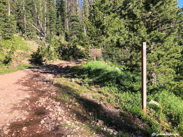 Hiking to Whiskey Island Lake, Uintas