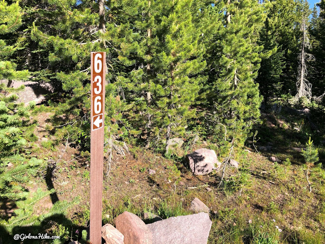 Hiking to Whiskey Island Lake, Uintas