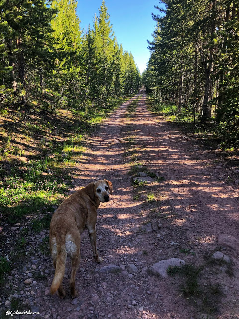 Hiking to Whiskey Island Lake, Uintas