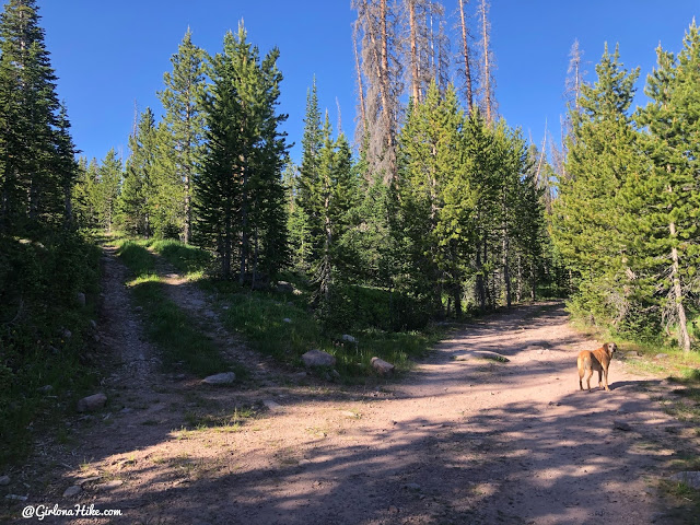 Hiking to Whiskey Island Lake, Uintas