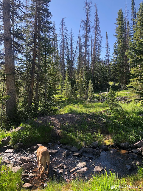 Hiking to Whiskey Island Lake, Uintas